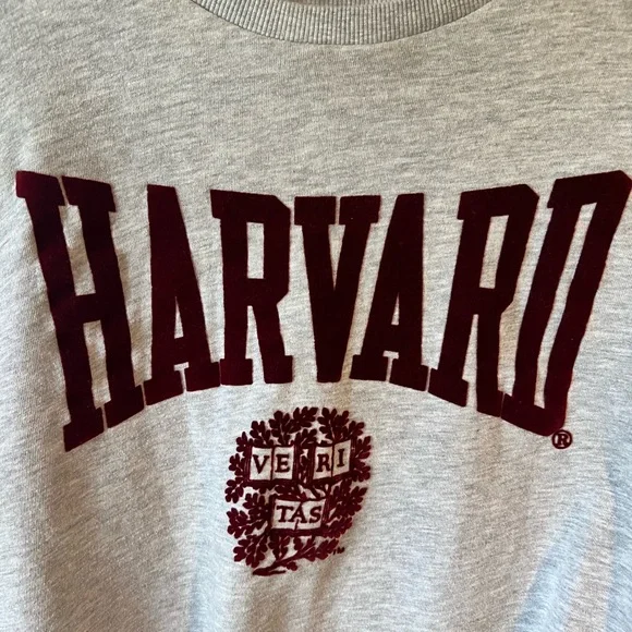 Harvard University Veritas Gray crewneck sweatshirt Small - Picture 3 of 4